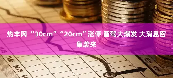 热丰网 “30cm”“20cm”涨停 智驾大爆发 大消息密集袭来
