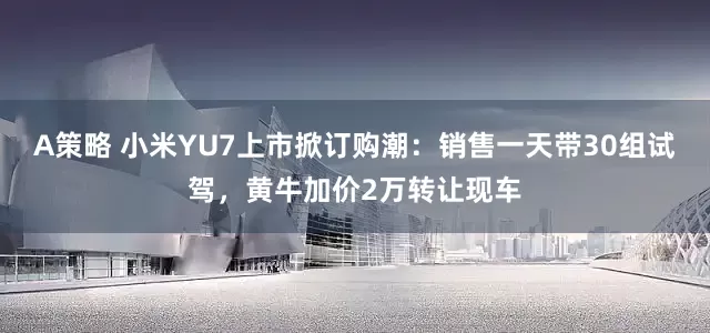 A策略 小米YU7上市掀订购潮：销售一天带30组试驾，黄牛加价2万转让现车