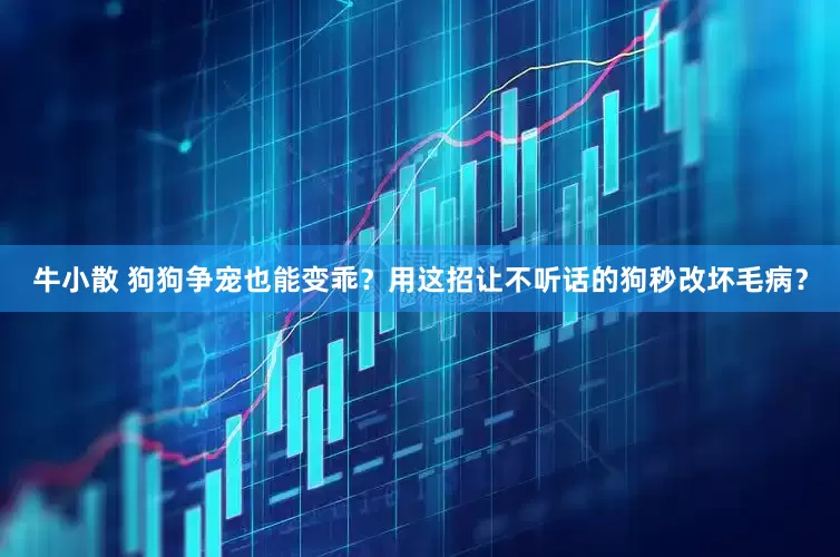 牛小散 狗狗争宠也能变乖？用这招让不听话的狗秒改坏毛病？