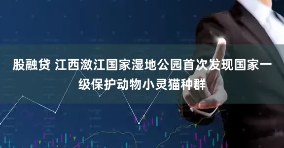 股融贷 江西潋江国家湿地公园首次发现国家一级保护动物小灵猫种群