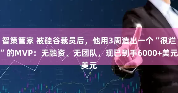 智策管家 被硅谷裁员后，他用3周造出一个“很烂”的MVP：无融资、无团队，现已到手6000+美元